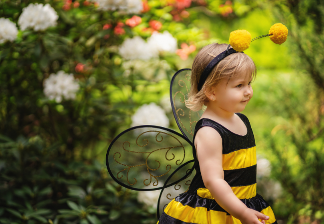 Costume d'abeille