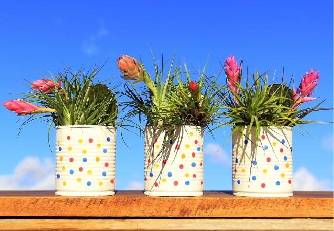 Idée déco #3 : DIY conserve de pot de fleurs