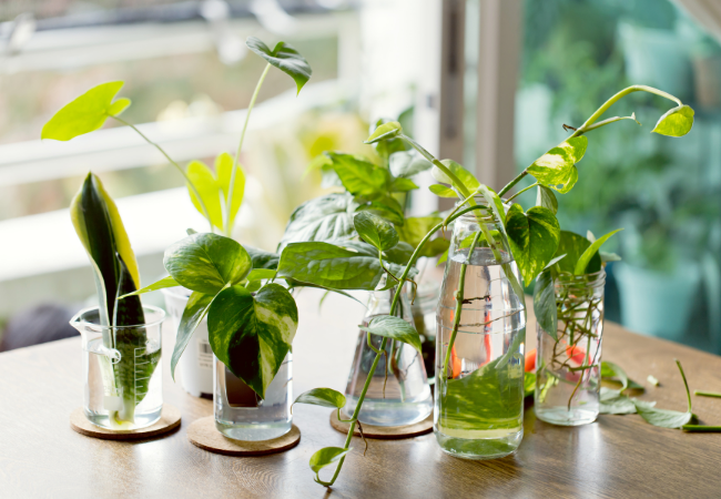 DIY : 9 concepts géniaux pour pots à fleurs et jardinières à