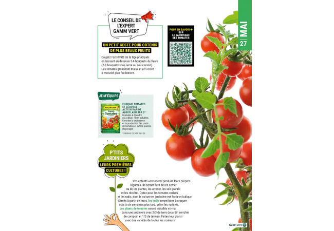 Quel engrais utiliser pour la culture des tomates ?